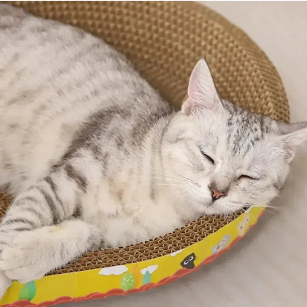 Oval Cat Bed – Cozy & Durable