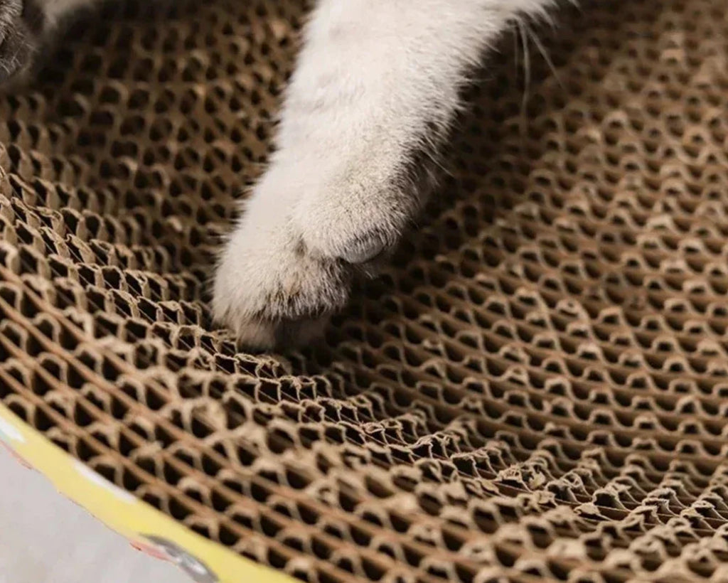 Oval Cat Bed – Cozy & Durable